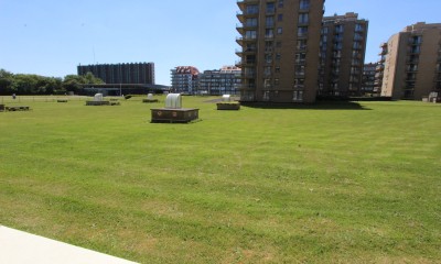 IMG_1129.JPG